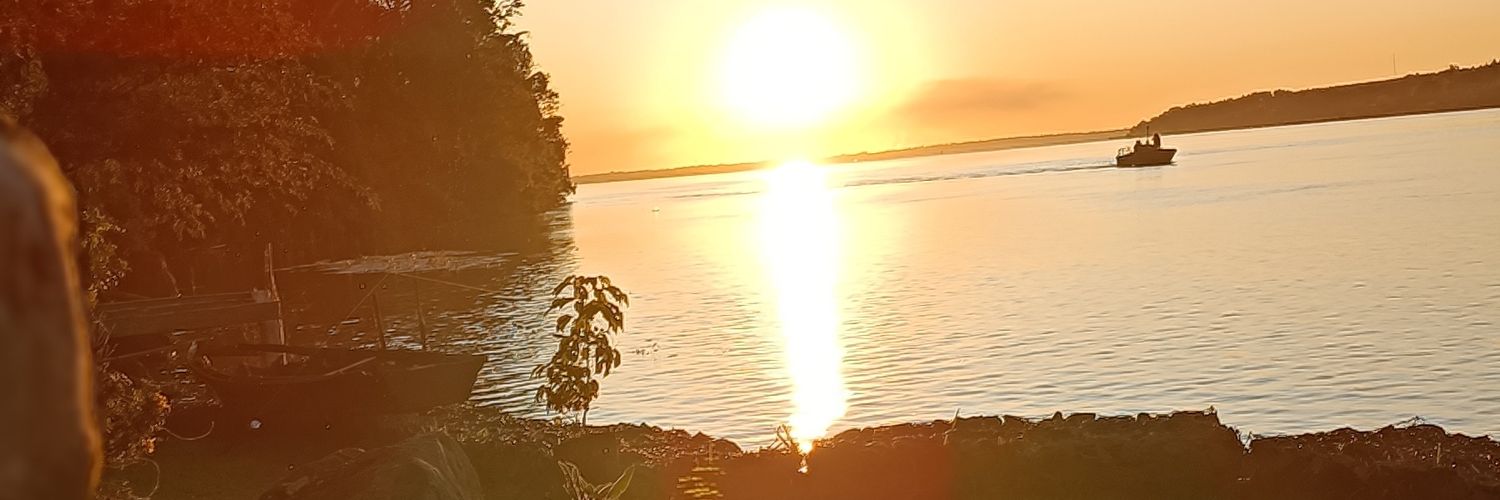 maurorg8's profile banner image