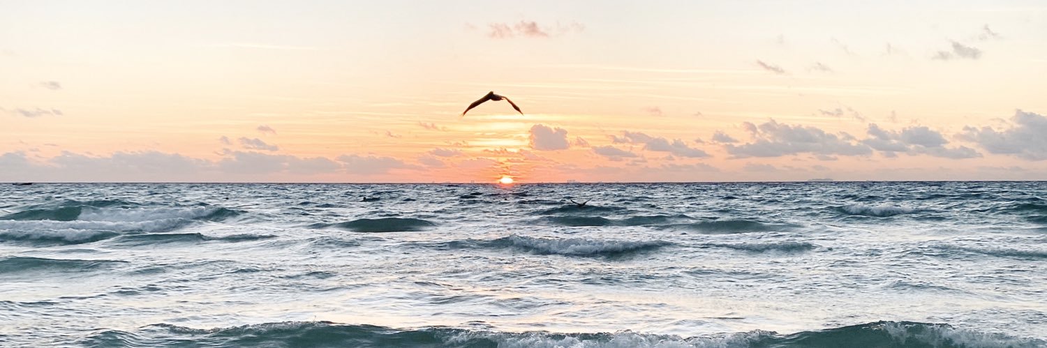 cornwall_taylor's profile banner image