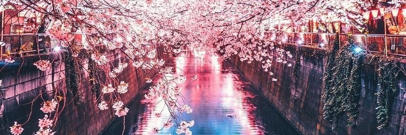 Jean Ferreira-Video Editor banner