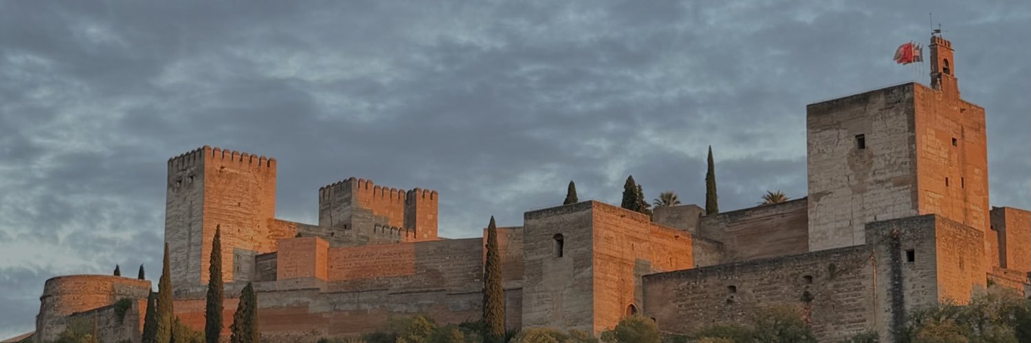 sintii banner
