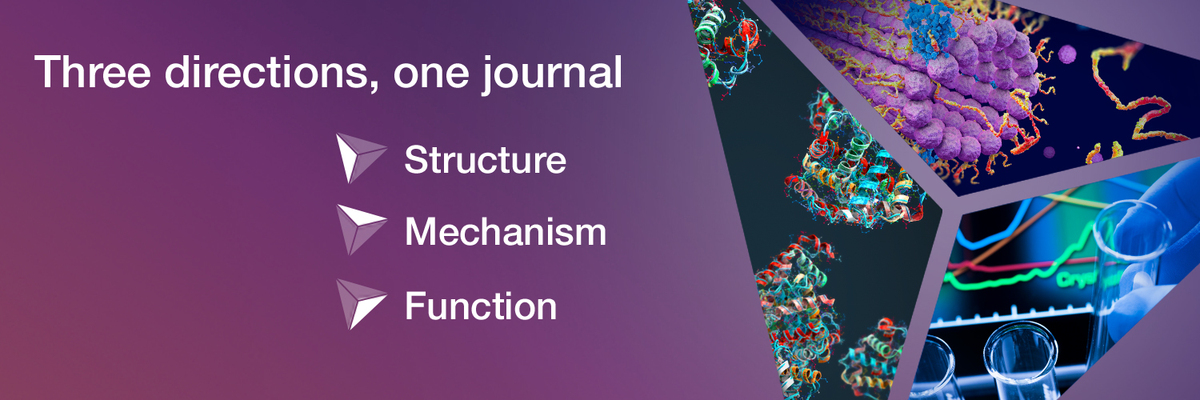 Structure's banner
