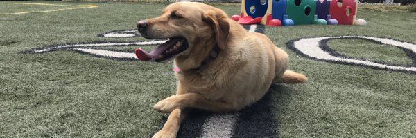 adri_holmes00 Profile Banner