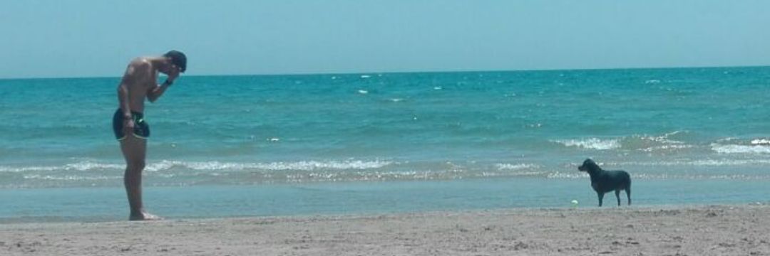 pepe_salom's profile banner image