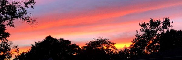 MsDiFede Profile Banner