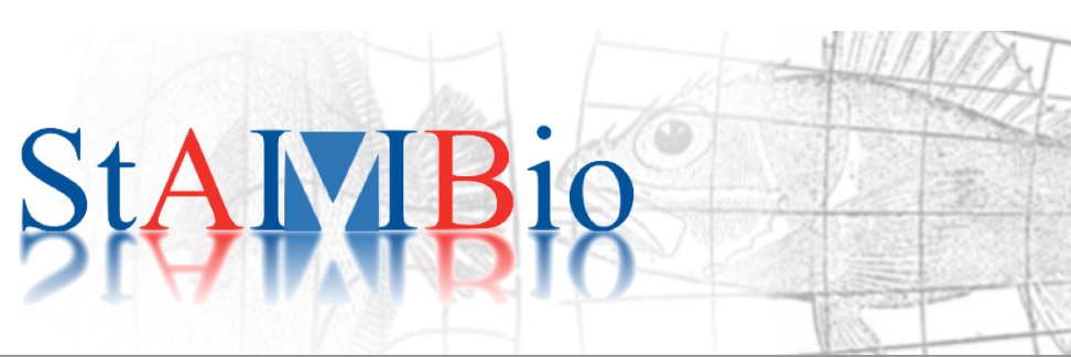 StAndrews Mathbio banner