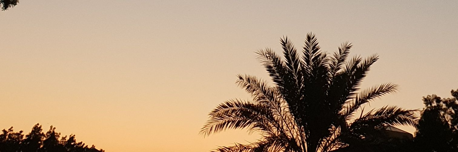 suzettedca's profile banner image