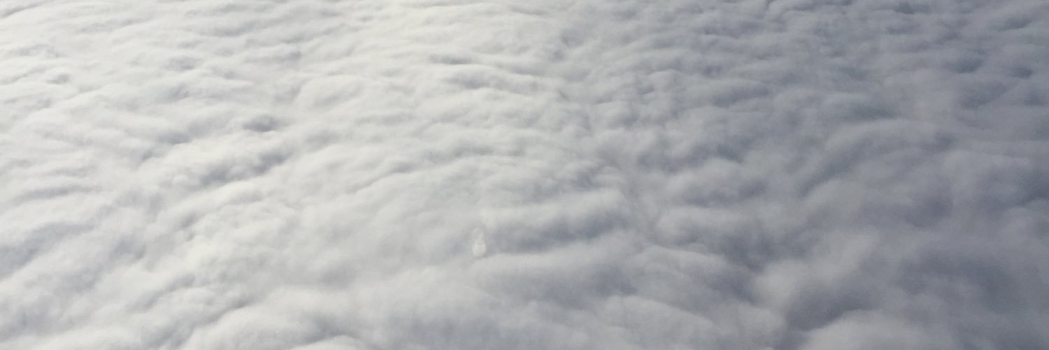 SollicitusGreen's profile banner image