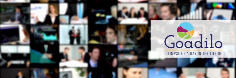 Goadilo banner