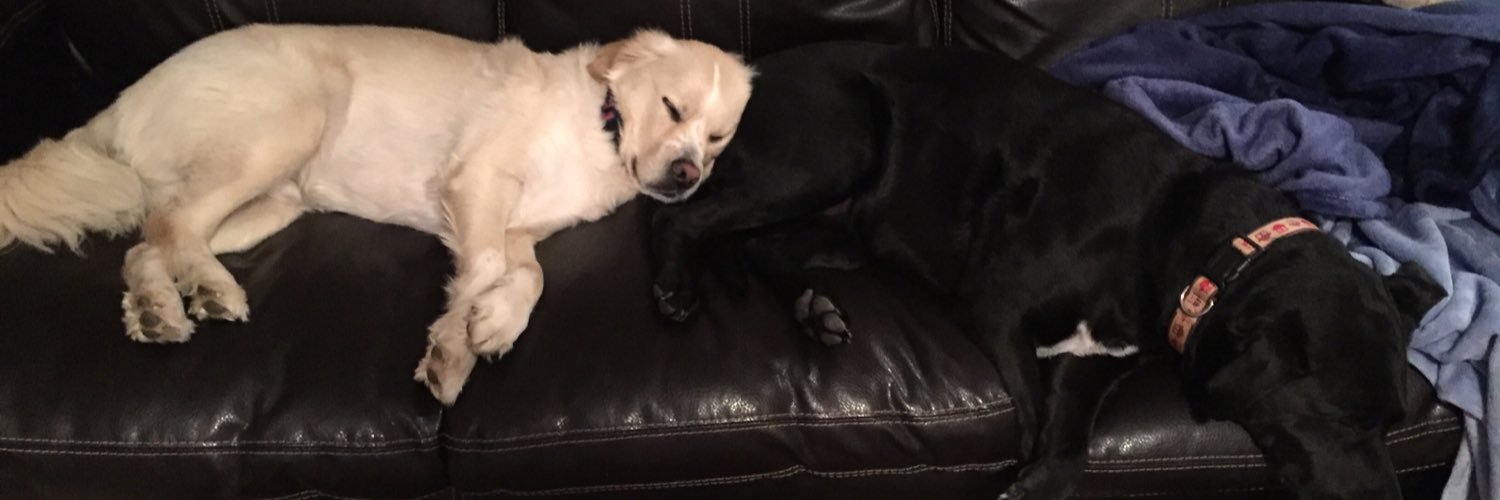 SarahGould1012's profile banner image