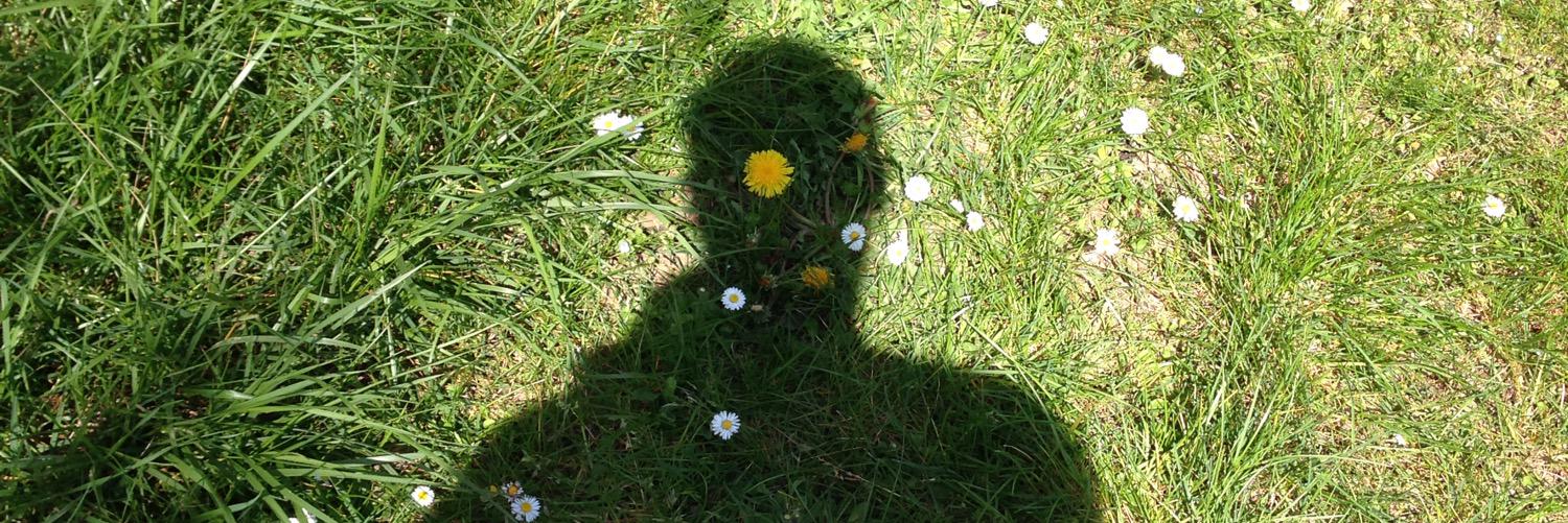 Lebeyonder's profile banner image