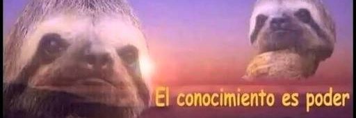 Rodrigo Gómez banner