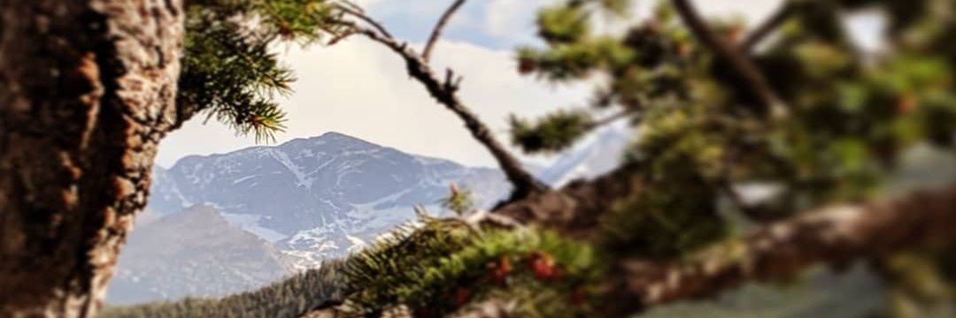 CeraMahone's profile banner image