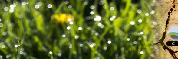 IECA Canada Chapter banner