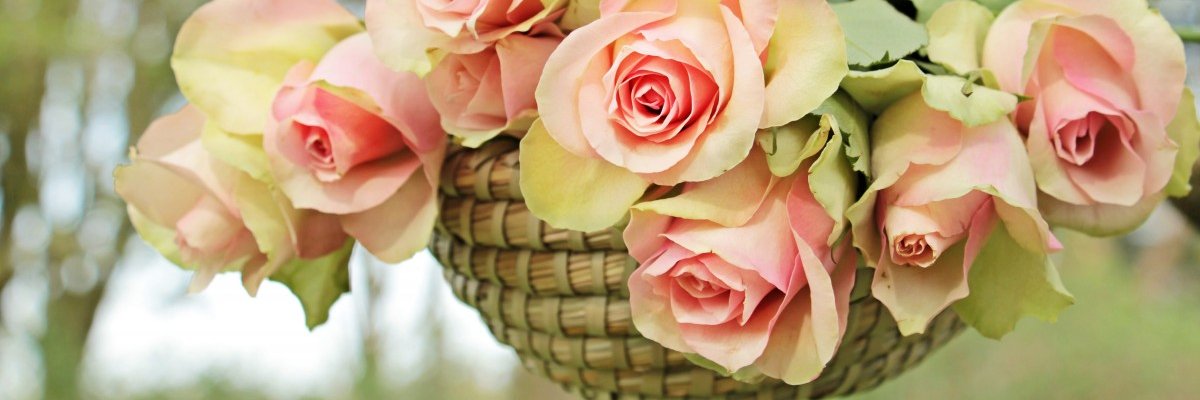 CORNEChristelle's profile banner image