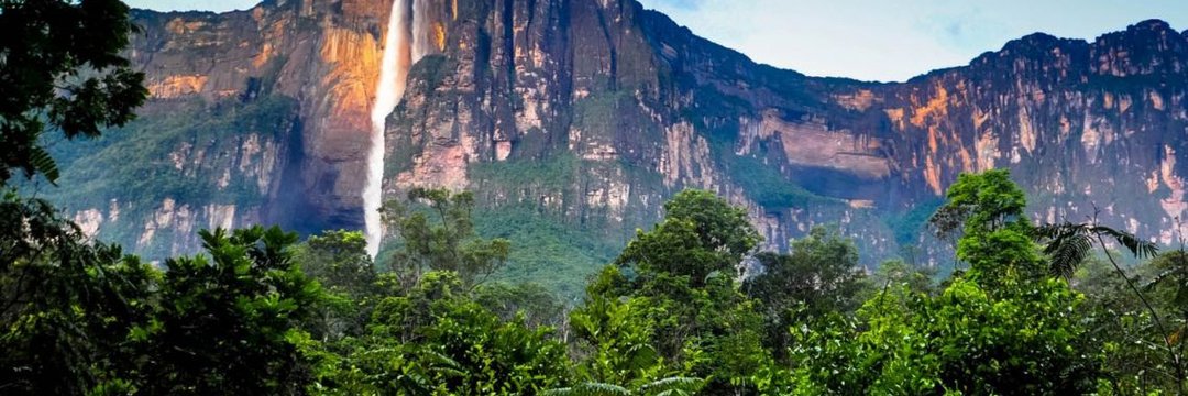 Albert Moreno Diaz banner