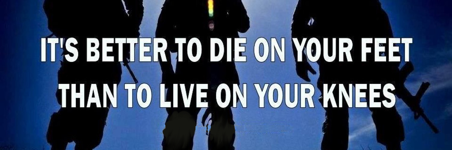 ┌∩┐(◣_◢)┌∩┐ banner