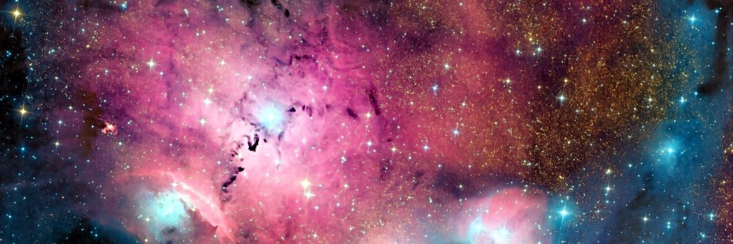 puciotta's profile banner image