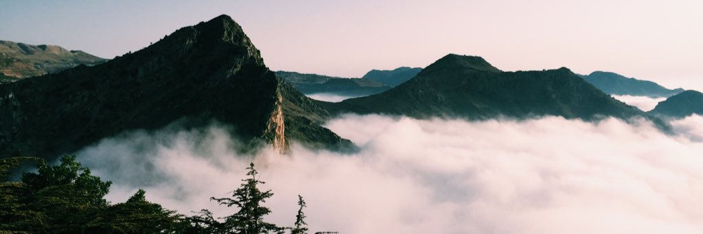 Jonah Fox ☕️ banner