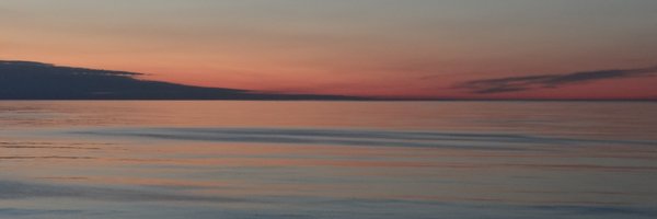 RogerQuaranted2 Profile Banner
