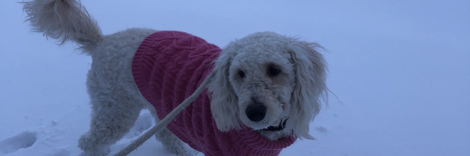 JaJiffo's profile banner image
