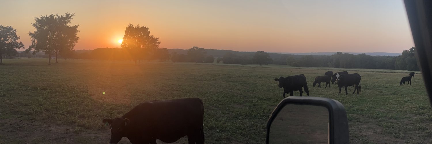 grant_amos3's profile banner image