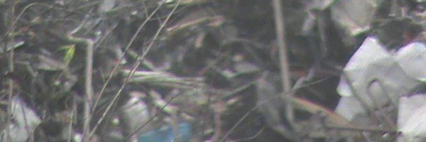 syzymusic Profile Banner