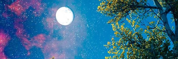 cj_f96's profile banner image