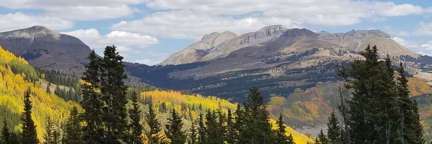 wewhite54's profile banner image