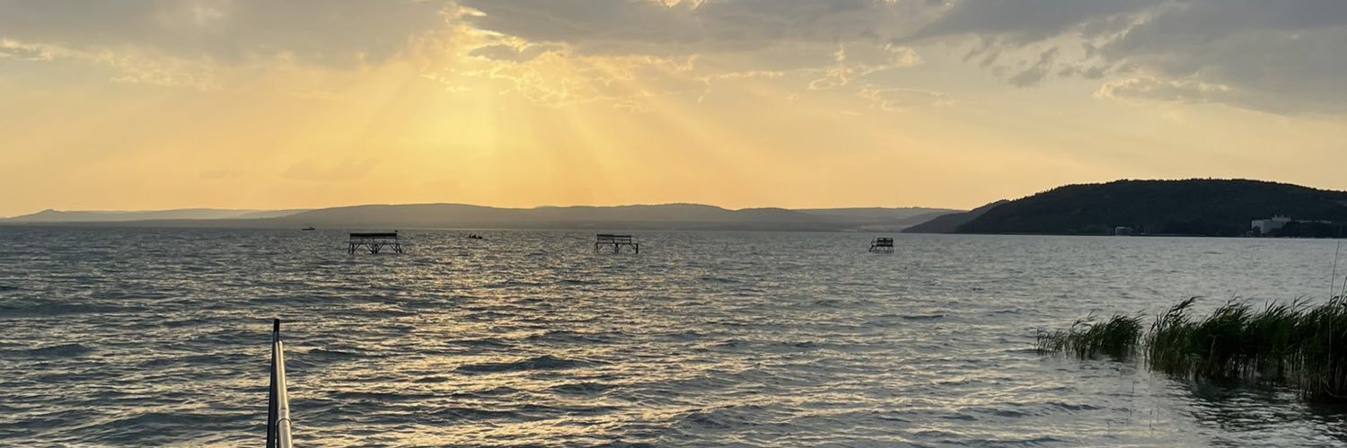 Timon🇳🇬 banner