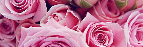 JessicaaLessaa's profile banner image