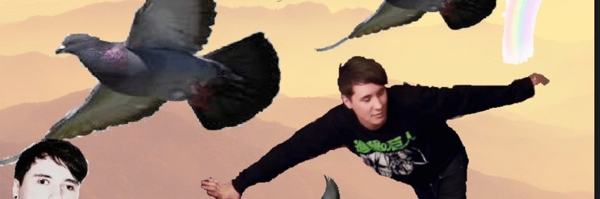 folderanimaljam's profile banner image