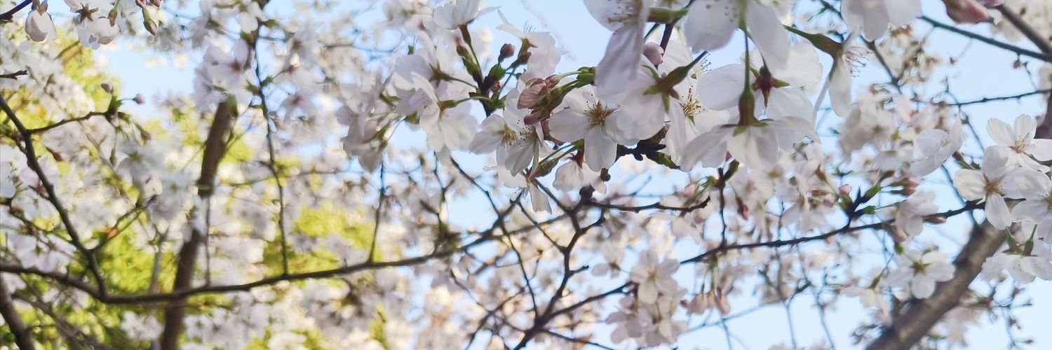 ❄️Setsu00oo banner