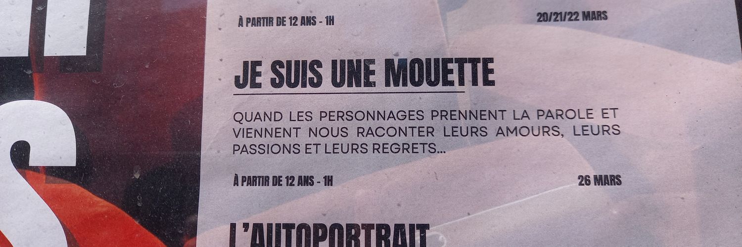 Mouette du 34 banner