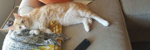 firebrandlib Profile Banner