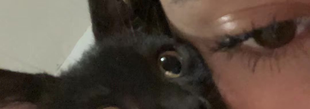 faaacarrillo's profile banner image