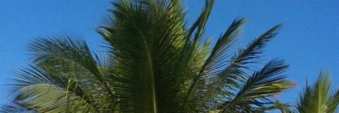 cansadahh banner