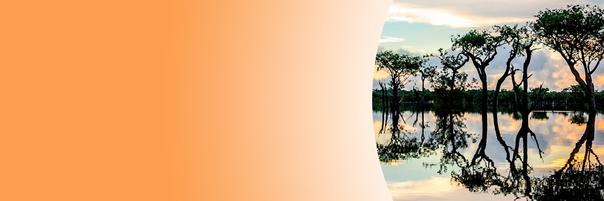 Novethic banner
