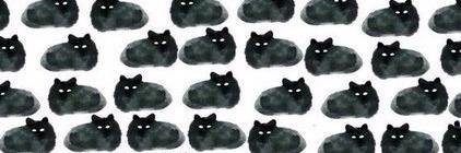 Loony_at_Large's profile banner image