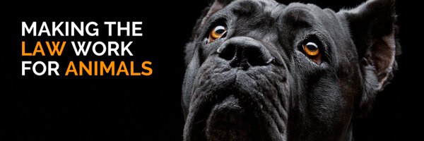 ALAWAnimalLaw Profile Banner