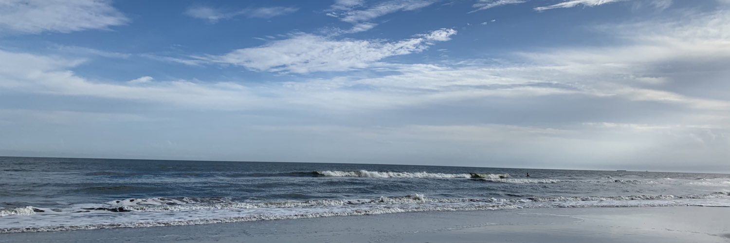 __AllisonLeigh's profile banner image