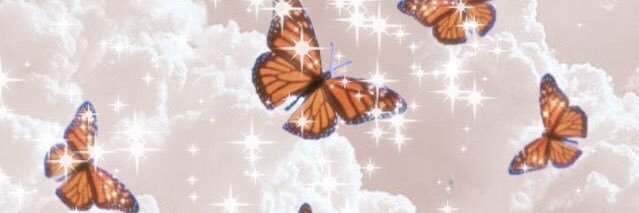 1Aloprada's profile banner image