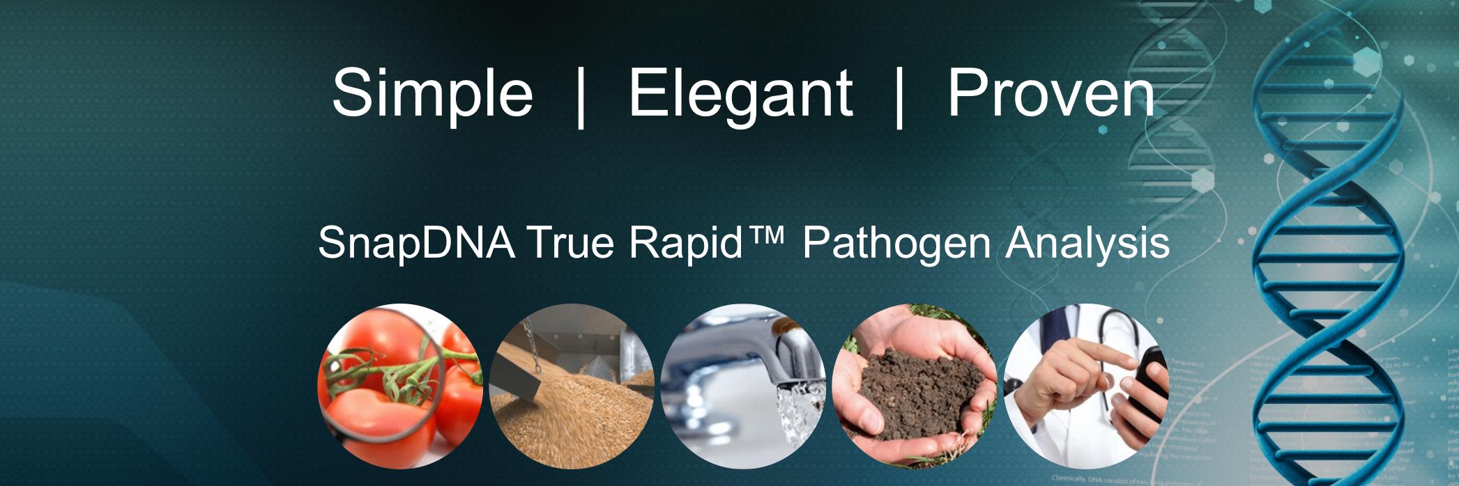 SnapDNA's profile banner image