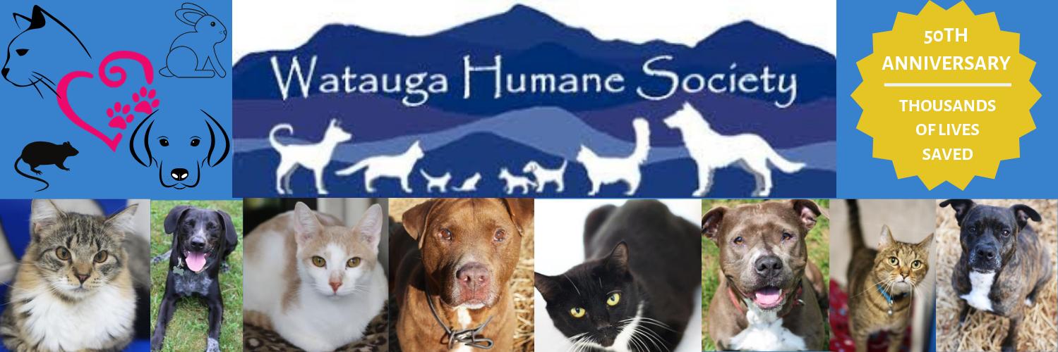 WataugaHumane's profile banner image