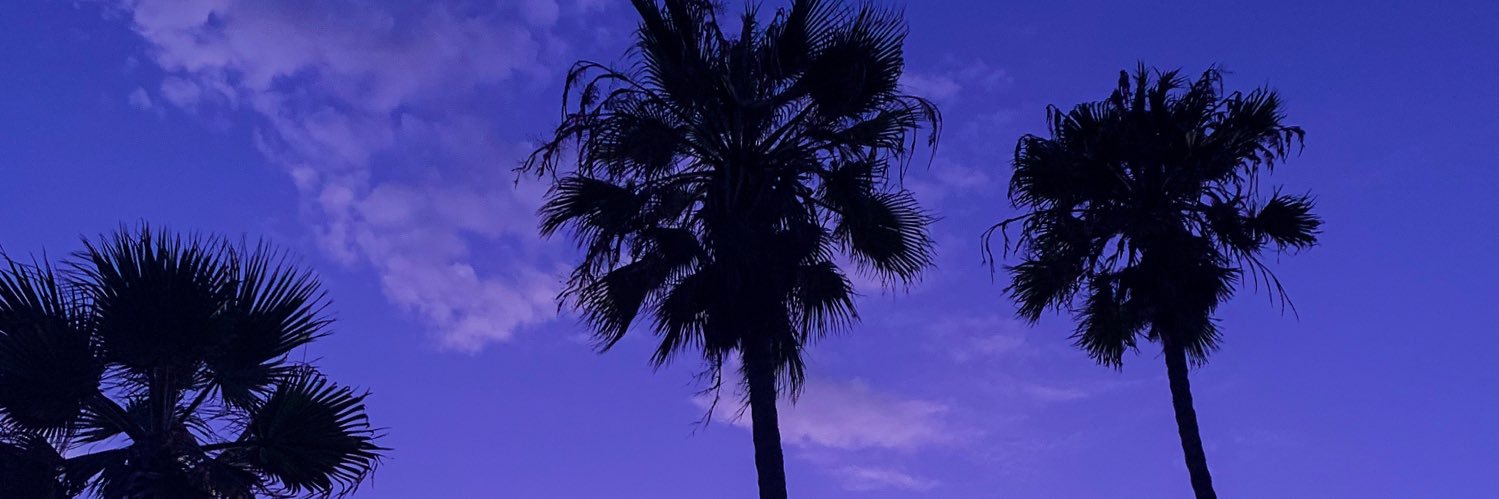 MomchilB's profile banner image