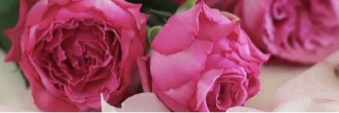 محمد الحسني banner