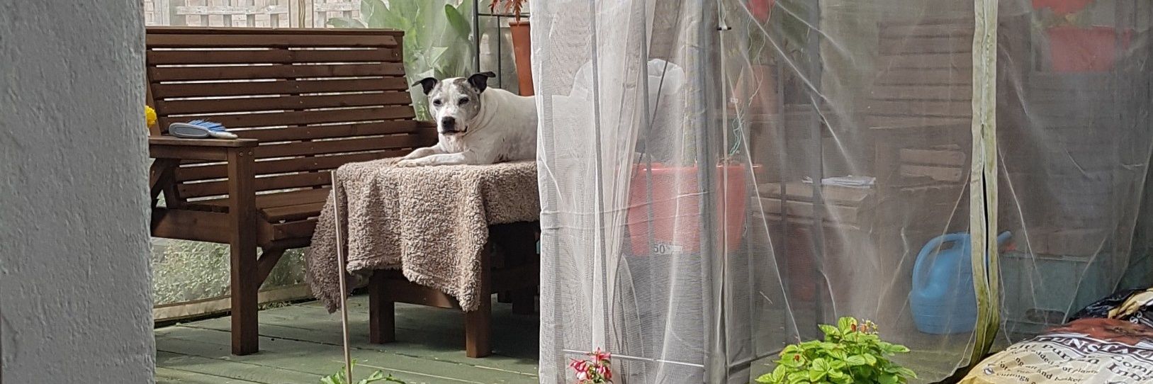 Bill Rutter 🟦 banner