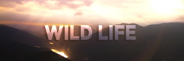 ryzen_cs Profile Banner