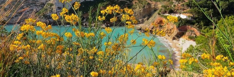 hughlavery's profile banner image