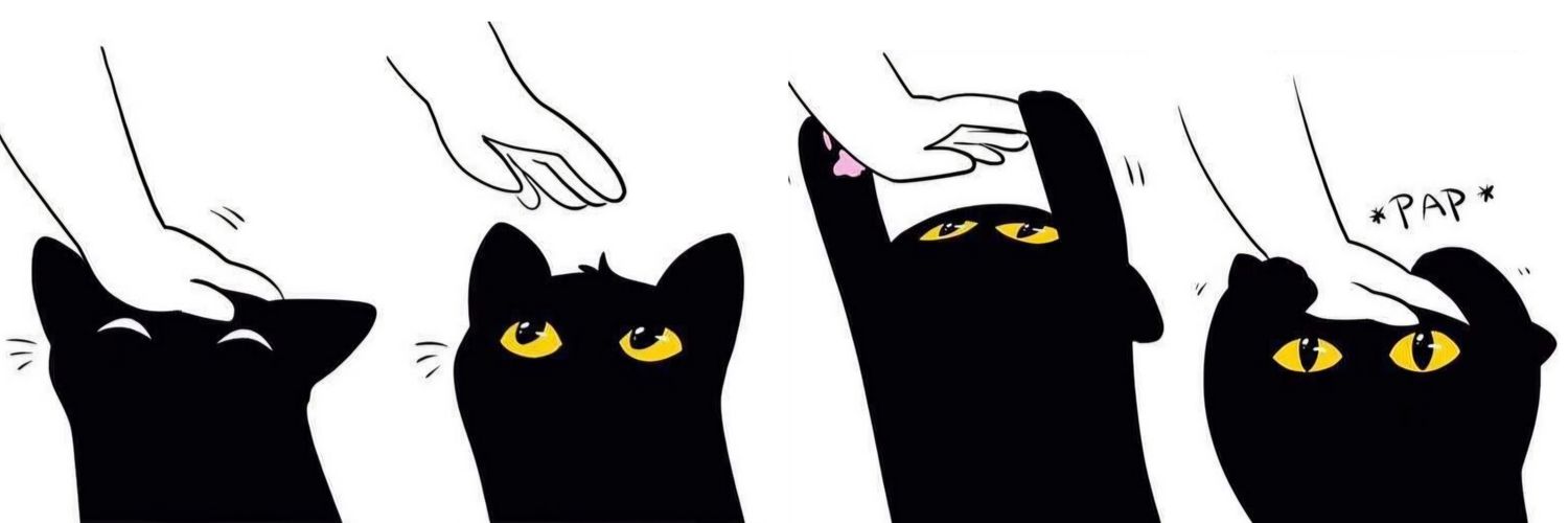 _cocoti's profile banner image