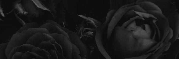 _JimmieChooo's profile banner image